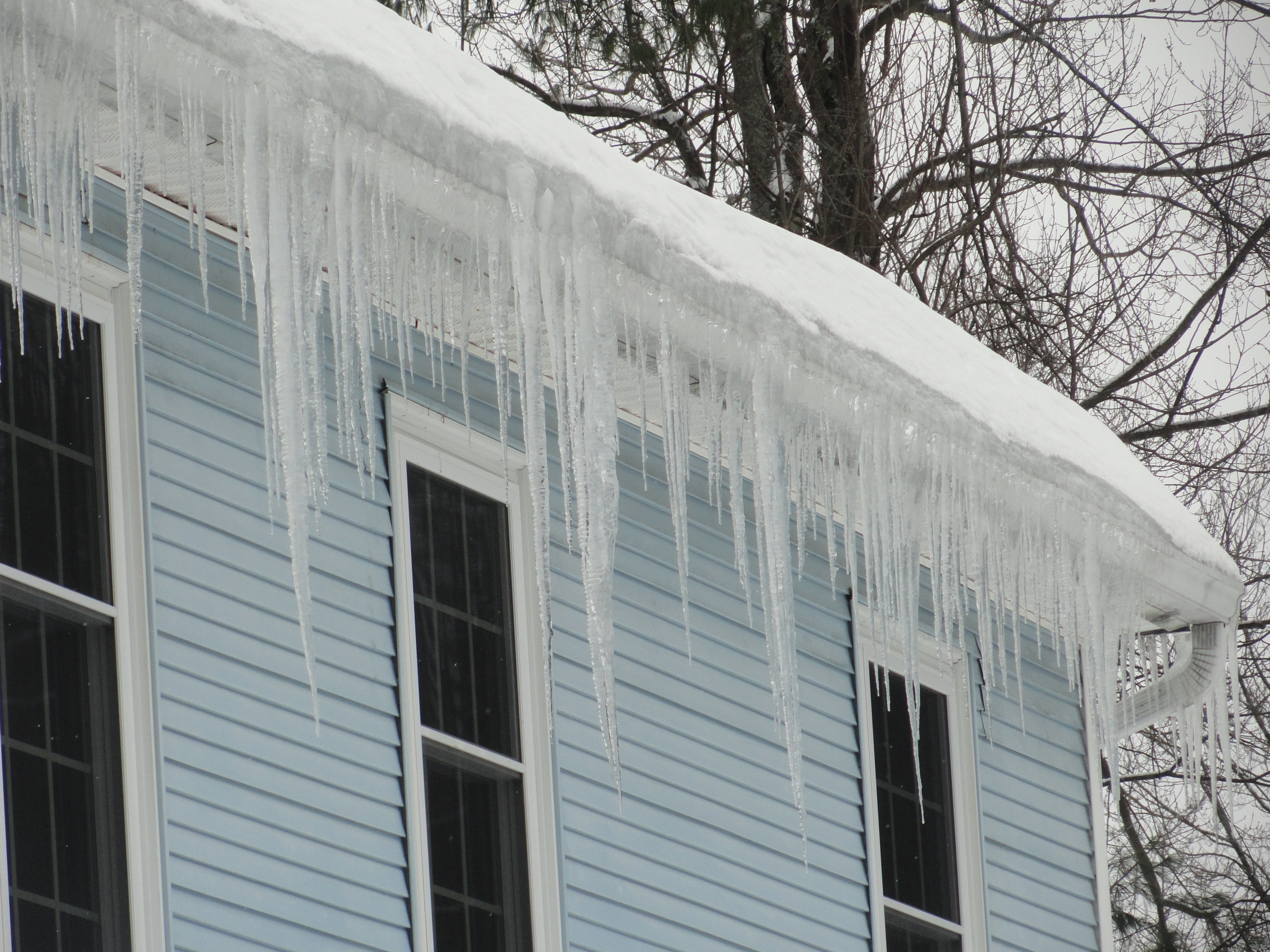 Will Ice Dams Cause Mold Growth?
