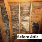 Before attic 1