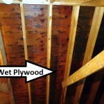 Wet Plywood