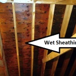 wet attic sheathing