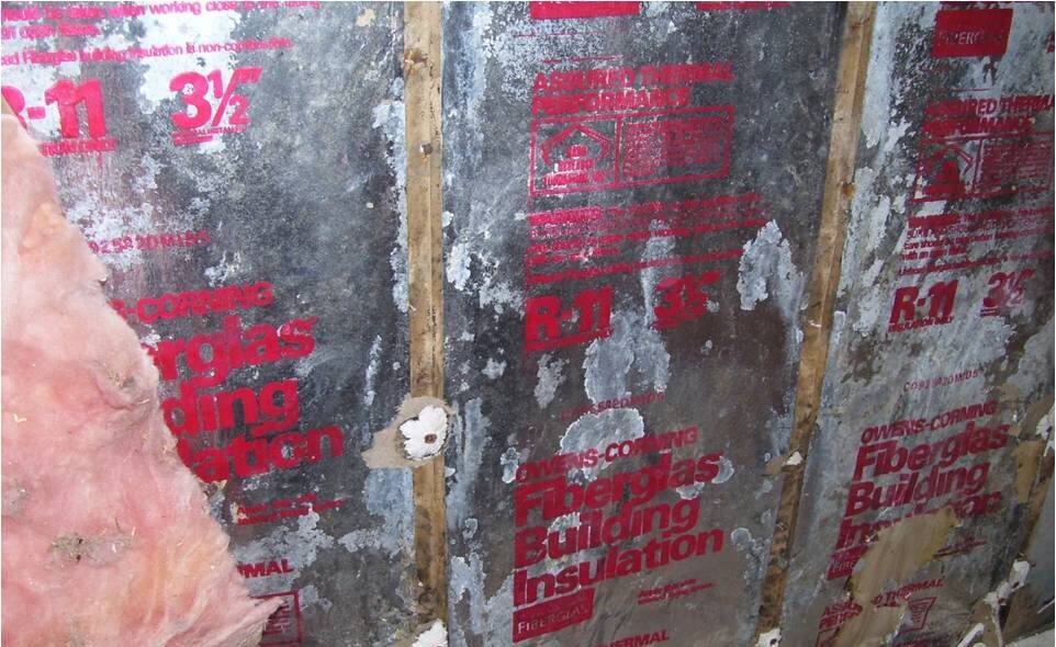 Mold growth on attic insulation in a Westborough MA home Mold growth on attic insulation in a Westborough MA home