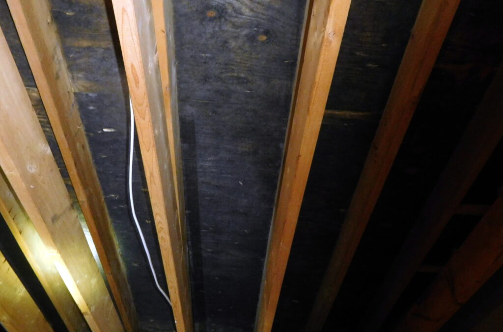 Black mold on attic roof sheathing in a Milford MA home Black mold on attic roof sheathing in a Milford MA home